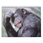 Wild Animals Calender 2012 Calendars