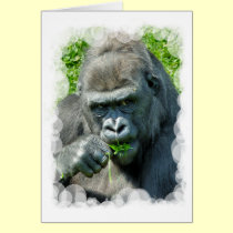 WILD ANIMALS - GORILLAS cards