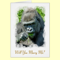 WILD ANIMALS - GORILLAS cards