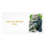 WILD ANIMALS - GORILLAS CUSTOM PHOTO CARD