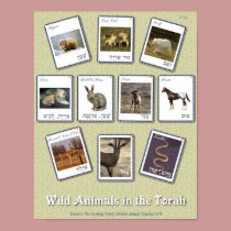 Wild Animals in the Bible posters