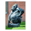 WILD ANIMALS UK cards