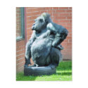 WILD ANIMALS UK postcards