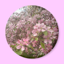 Wild apple Magnet
