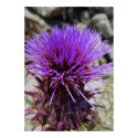 Wild artichoke posters by helentr Wild artichoke posters