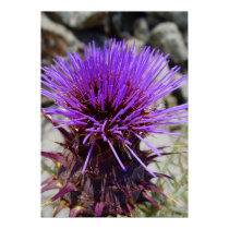 Wild artichoke posters