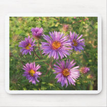 Wild Asters 4 Autumn mousepads by sexycher Wild Asters 4 Autumn mousepads