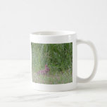 Wild Baby Bunny Rabbit Mugs