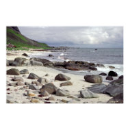Wild Beach Poster print