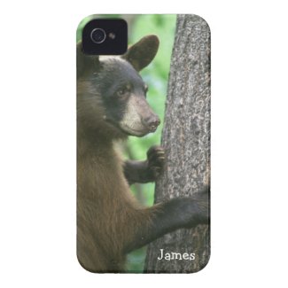 Wild Bear iPhone 4 Case