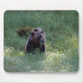 WILD BEARS WILDERNESS MOUSEPADS