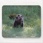 WILD BEARS WILDERNESS MOUSEPADS