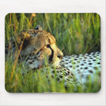Wild Beautiful Animals 112 mousepads