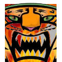 Wild Bengal Tiger Rawr!!! Tank Top t-shirts