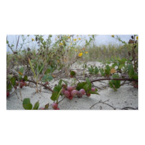 Wild Berries on the Beach Business Card