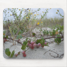 Wild Berries on the Beach Mouse Pads