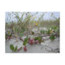 Wild Berries on the Beach Postcard