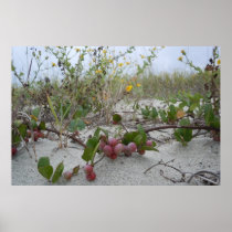 Wild Berries on the Beach Posters