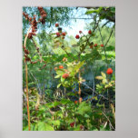 Wild Berries Poster