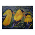 Wild Bird Print or Poster : American Goldfinches