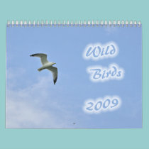 Wild Birds 2009 calendars by Thylacine Wild Birds 2009 calendars