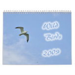 Wild Birds 2009 Calendar