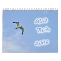 Wild Birds 2009 Calendar