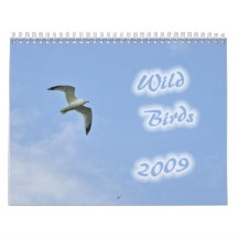 Wild Birds 2009 Calendar