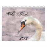 Wild Birds 2012 Calendar