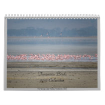 Wild Birds of Tanzania calendars