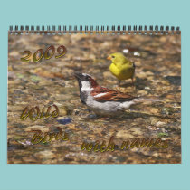Wild Birds with Names calendars by Thylacine Wild Birds with Names calendars