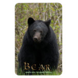Wild Black Bear Wildlife Art Flexi Magnet