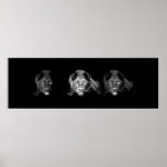 Wild Black Jaguar Cat Eyes Poster