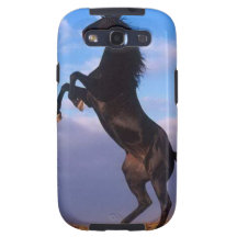 Wild Black Stallion Rearing Horse Samsung Galaxy SIII Covers