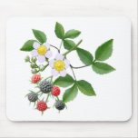 Wild Blackberries Mousepad