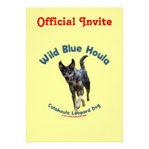 Wild Blue Catahoula Dog Announcement
