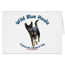 Wild Blue Catahoula Dog Cards