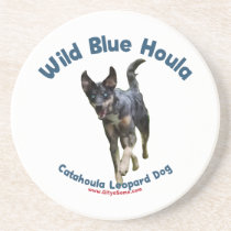 Wild Blue Catahoula Dog Coasters