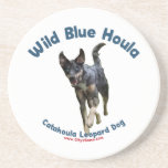 Wild Blue Catahoula Dog Coasters