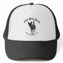 Wild Blue Catahoula Dog Mesh Hat
