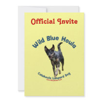 Wild Blue Catahoula Dog Announcement