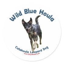 Wild Blue Catahoula Dog Round Stickers