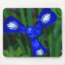 Wild Blue Iris mousepads
