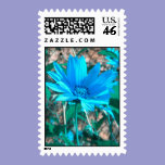 Wild Blue Sunflower Postage postage