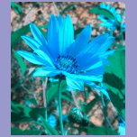 Wild Blue Sunflower T-Shirt