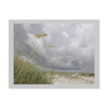 WIld Blue Yonder postcards by evelynrapp WIld Blue Yonder postcards