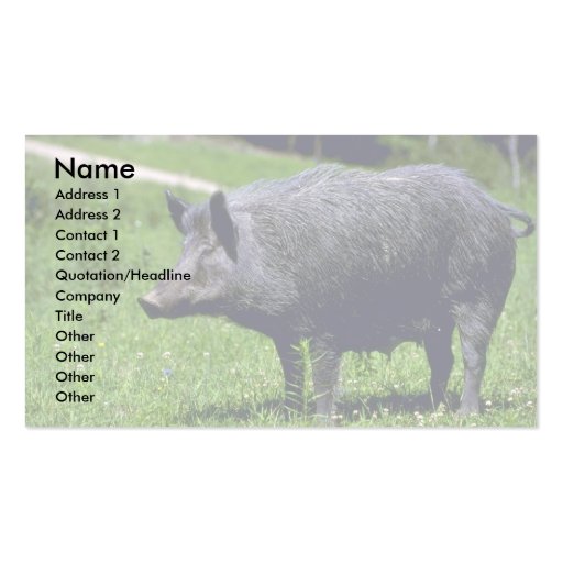 Wild Boar Business Card Template (front side)