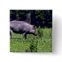 Wild Boar Buttons