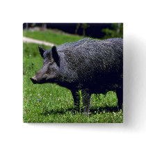 Wild Boar Pins