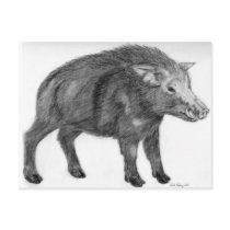 Wild Boar, Defensive Stance Post Card